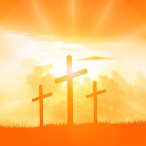 John's Gospel