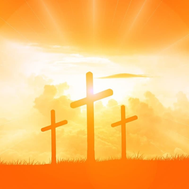 John's Gospel