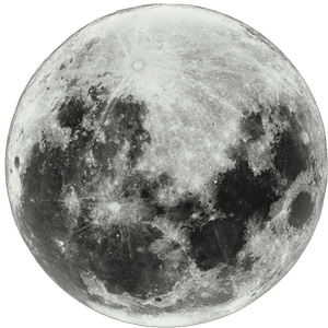 Moon Contributor