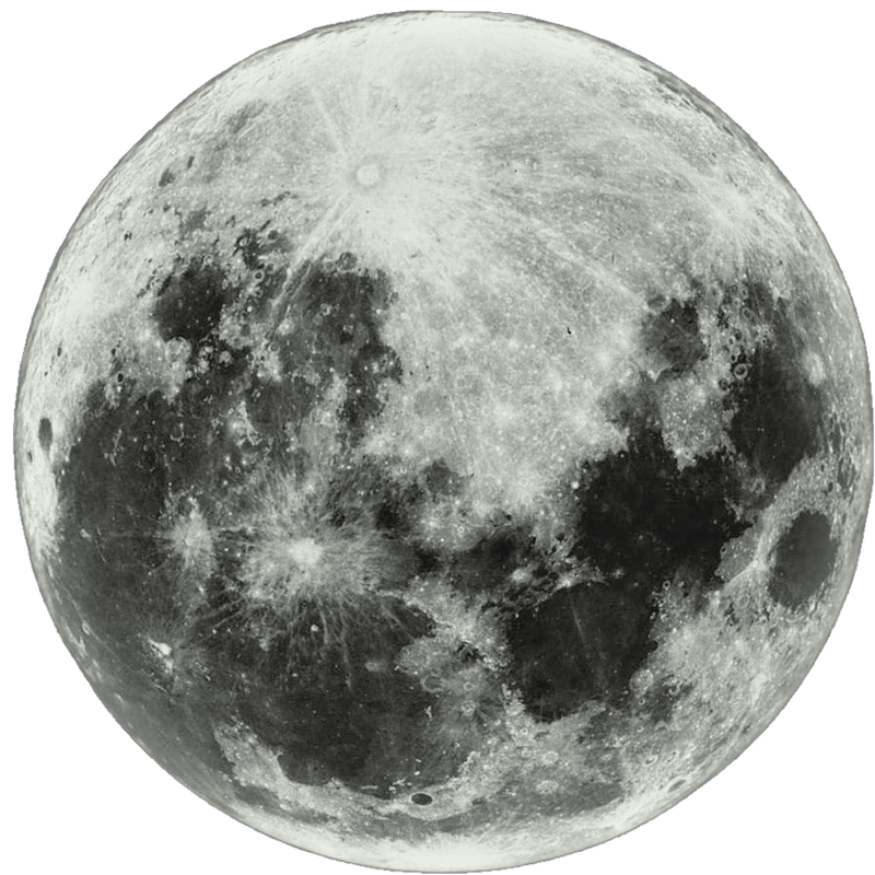 Moon Contributor