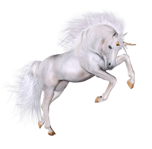 Unicorn Contributor