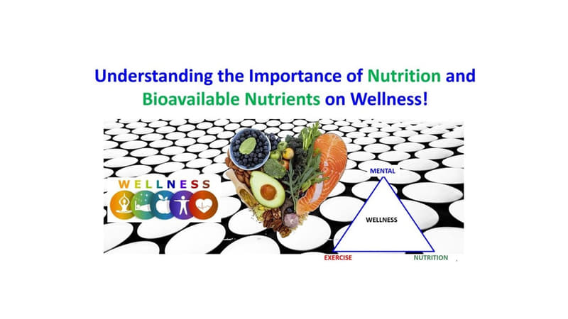 The Role of Nutrition in Wellness