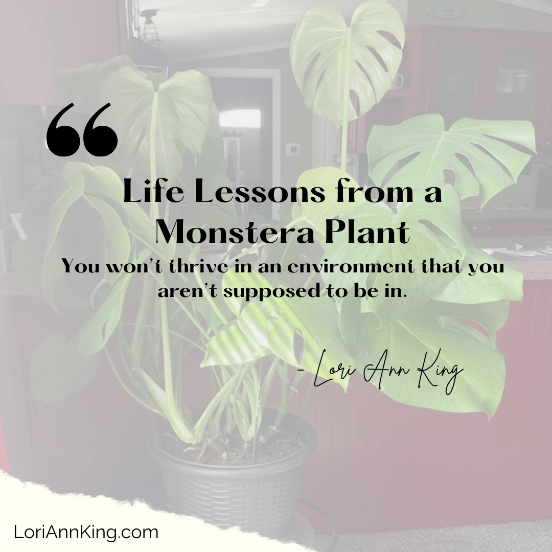 Life Lessons from a Monstera Plant
