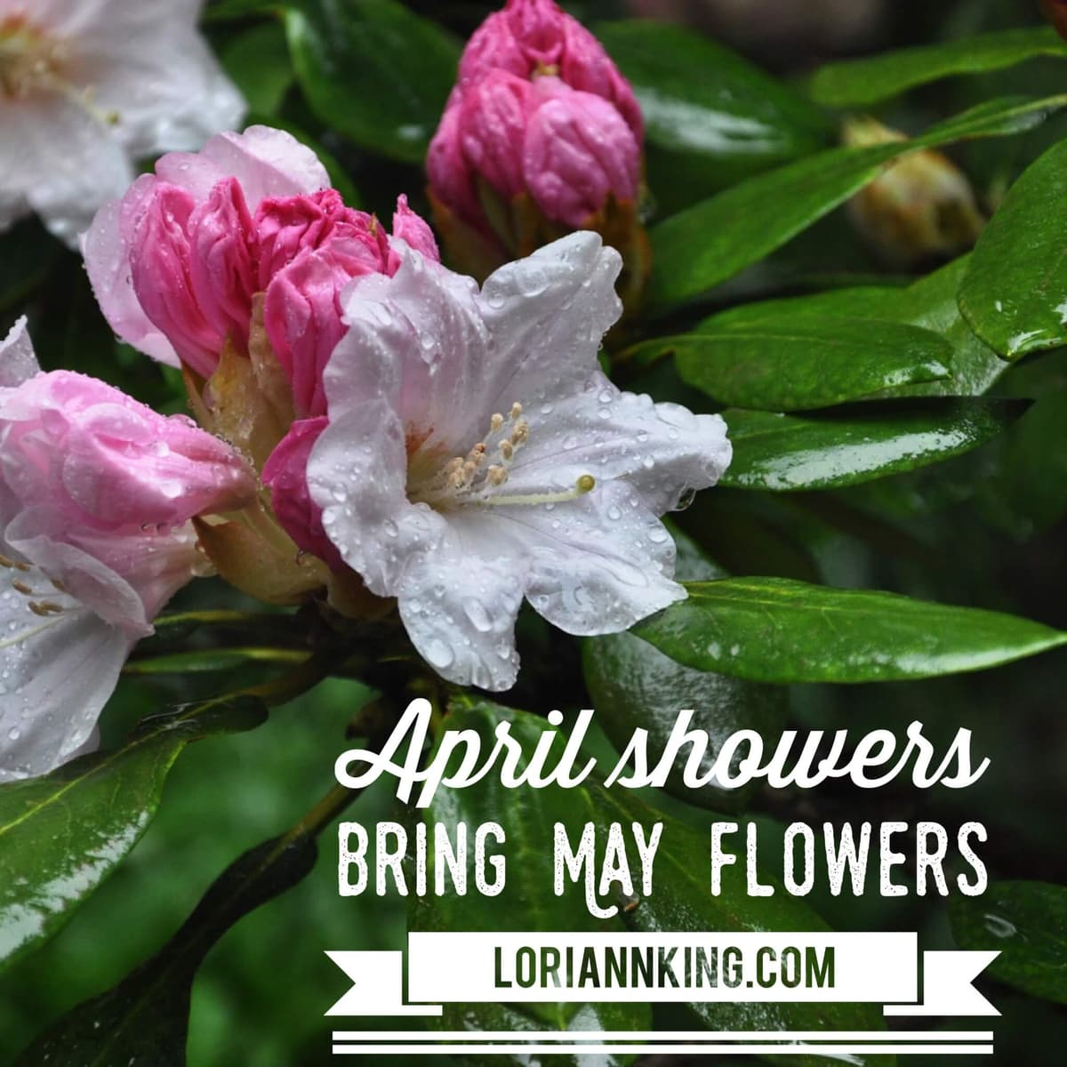 April Showers Bring May Flowers