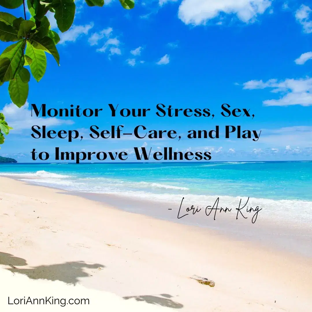 Monitor Your Stress, Sex, Sleep, Self-Care, and Play to Improve Wellness