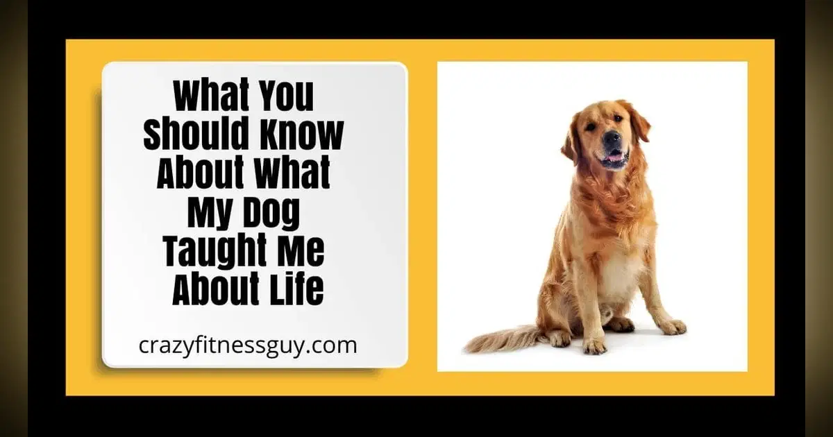 What My Dog Taught Me About Life: Love, Grief, and Everyday Joy