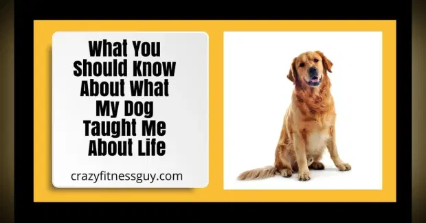 What My Dog Taught Me About Life: Love, Grief, and Everyday Joy