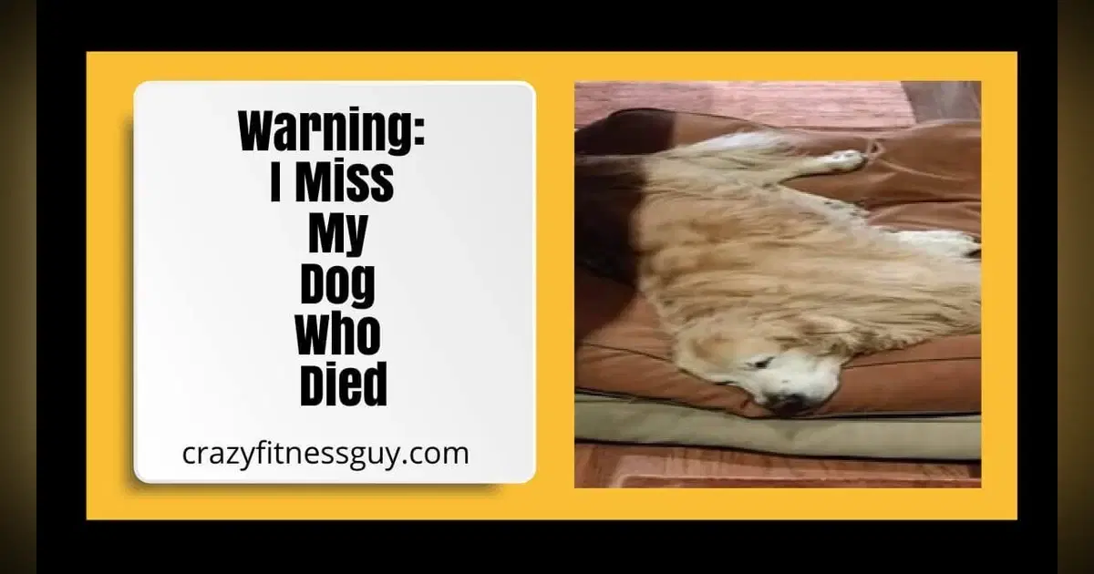 Warning: I Miss My Dog Who Died