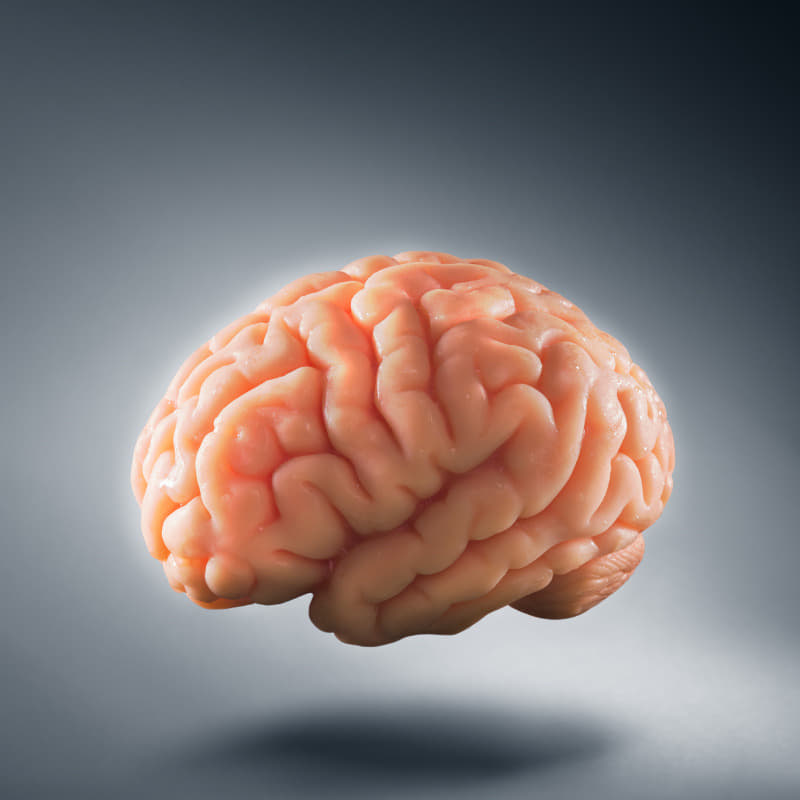 Graphic about memory and deep interests as possible autistic strengths