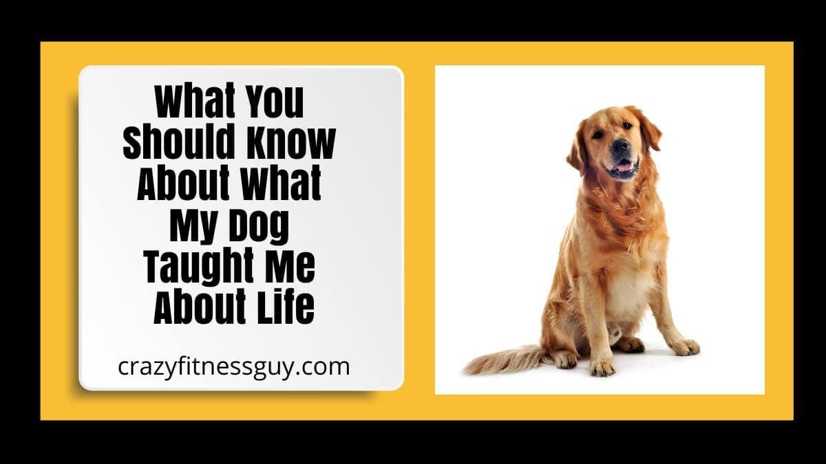 What My Dog Taught Me About Life: Love, Grief, and Everyday Joy