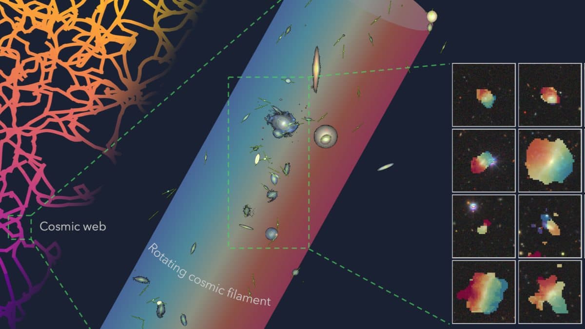 Cosmic Filaments, Earth 2.0, and Mayonnaise in Space