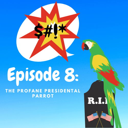 A cartoon swearing parrot stands atop a gravestone marked with crisscrossed American flags