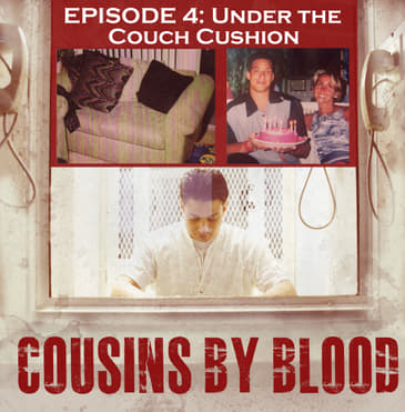 Episode 4: Under the Couch Cushion