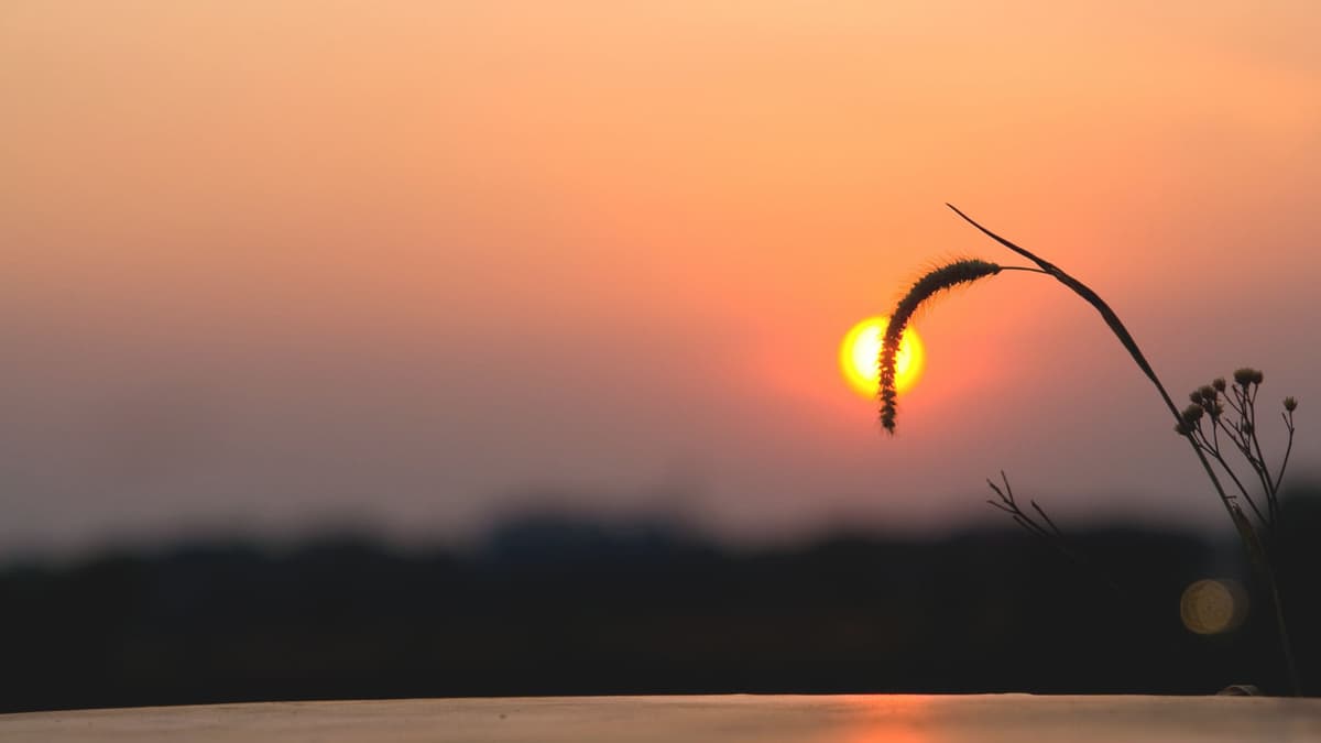 Ep. 100: Life Updates - School, Career Goals, Self Confidence, I’m Going Abroad??