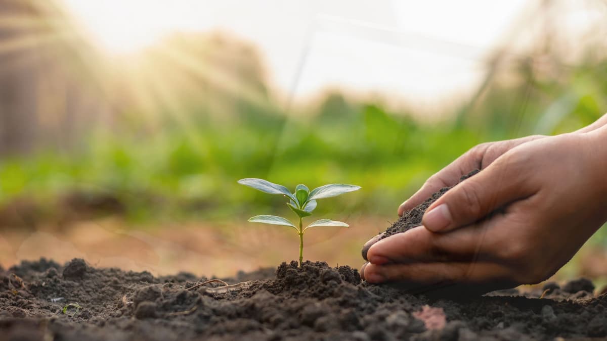 Ep. 90: Stop Shrinking Yourself Into Places You've Outgrown