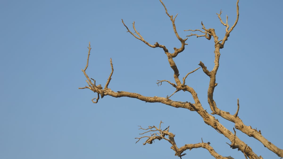 Ep. 97: Tall Girl Reacts To Tall Girl Problems (Part 14) | Low Stall Doors, Problematic Posts, Branches 