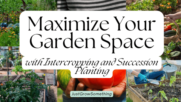 Maximizing Your Garden Space