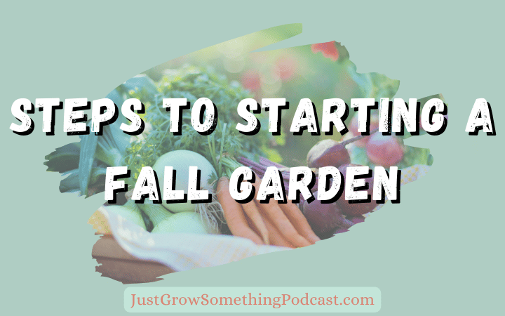 Steps For Growing a Fall Garden