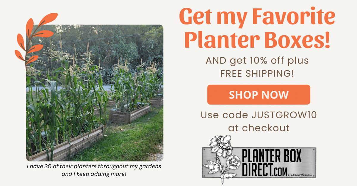Get my favorite planter boxes!