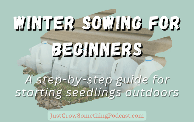Winter Sowing: A Beginner's Guide to Outdoor Seed Starting