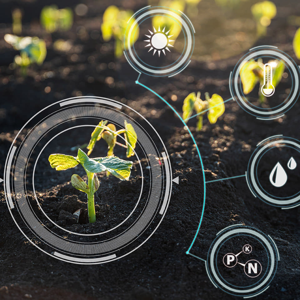 How Much Fertilizer to Add to Your Garden