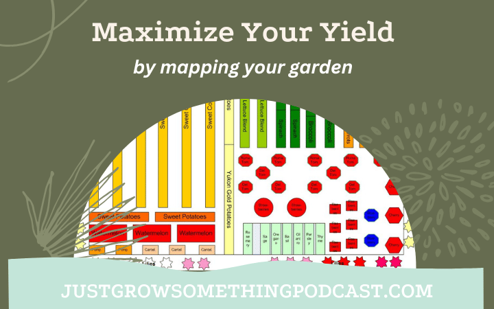 How to Plan Your Growing Space for Maximum Yield