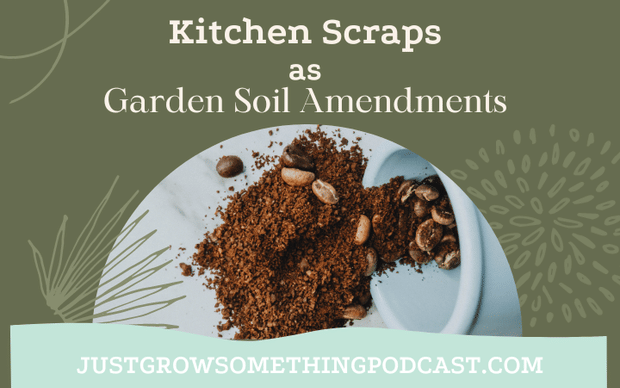 Kitchen scraps as garden amendments