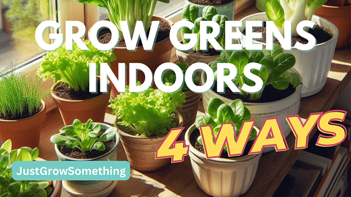 Grow Greens Indoors: 4 Simple Methods