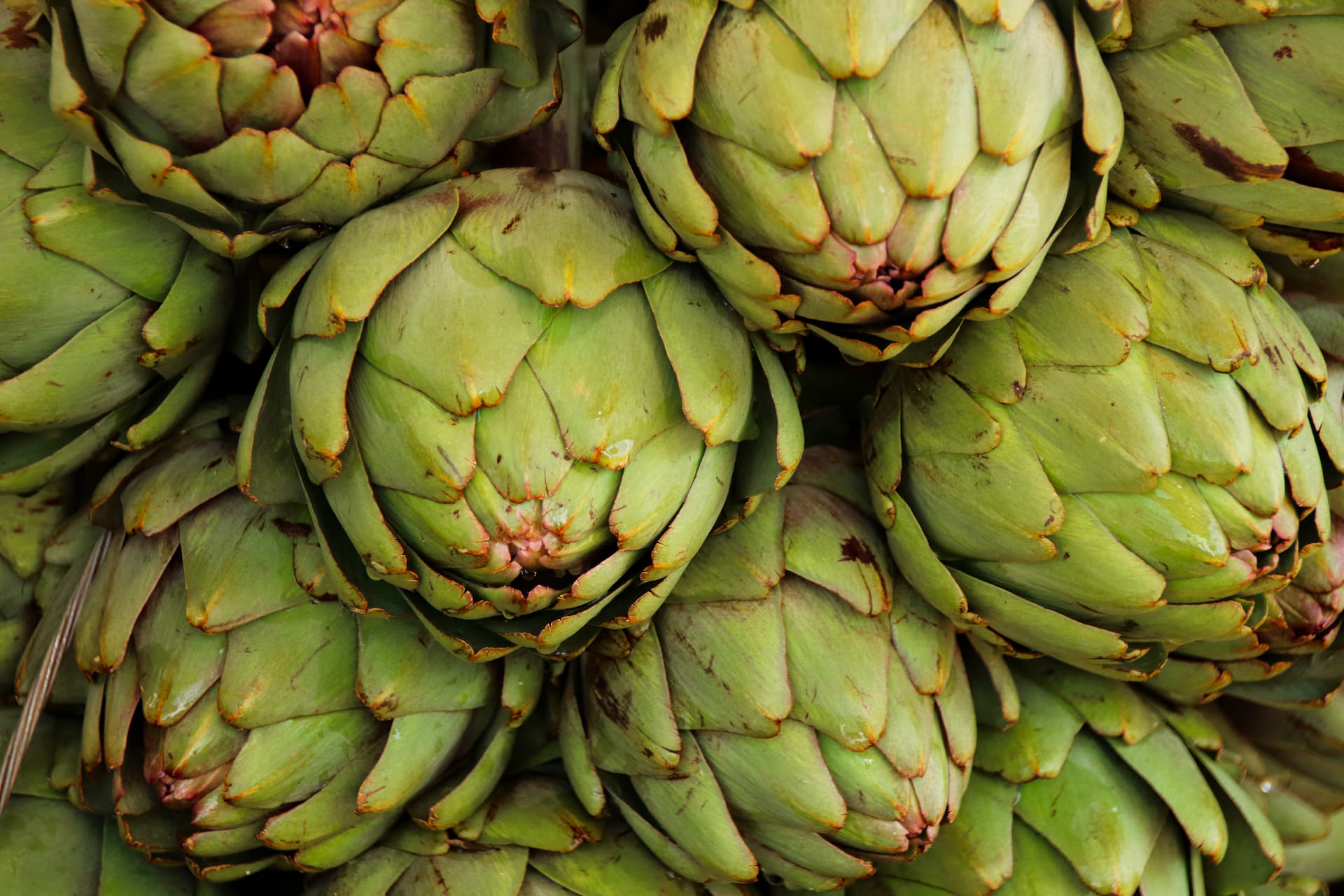 Globe artichokes