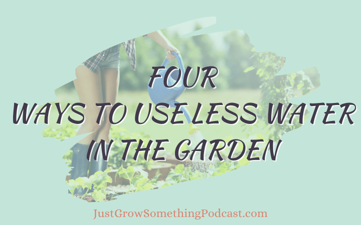 Four Ways to Use Less Water in the Garden