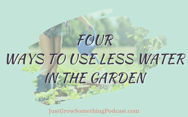 Four Ways to Use Less Water in the Garden