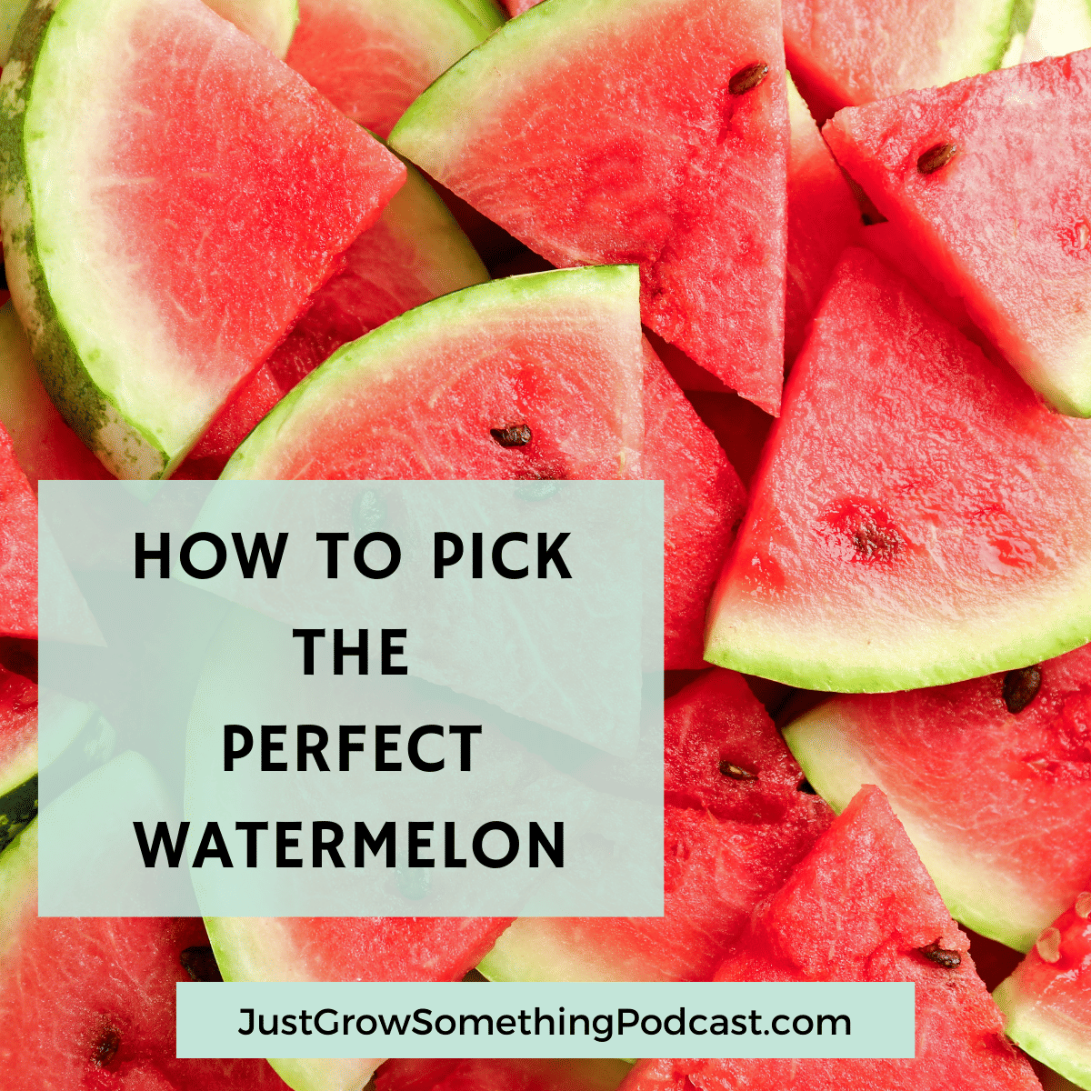 How to Pick the Perfect Watermelon