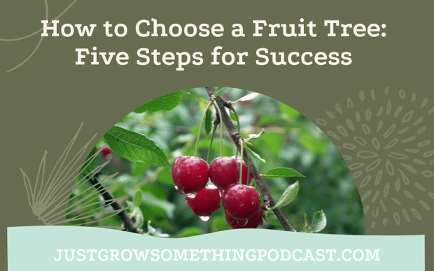 Five Steps to Choosing the Right Fruit Tree for Your Garden