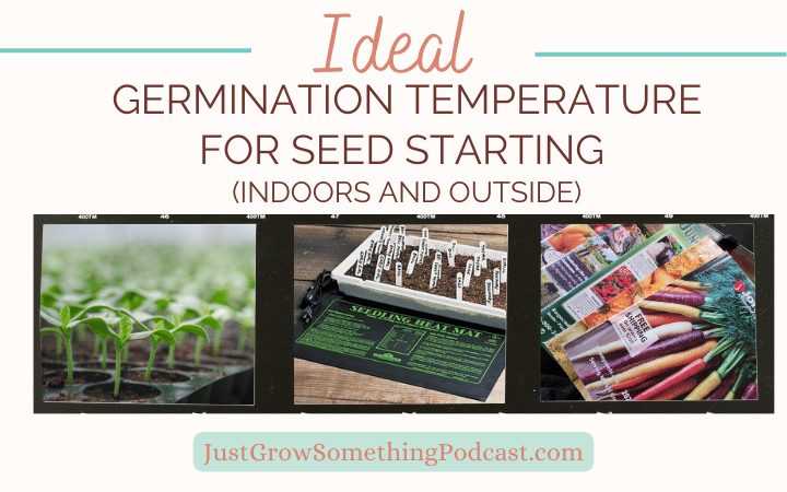 Ideal Germination Temperatures for Seed Starting Indoors and Out