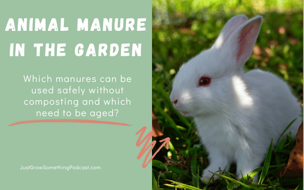Using Manure in the Garden: What's Safe and What's Not? How and when to use manure as fertilizer.