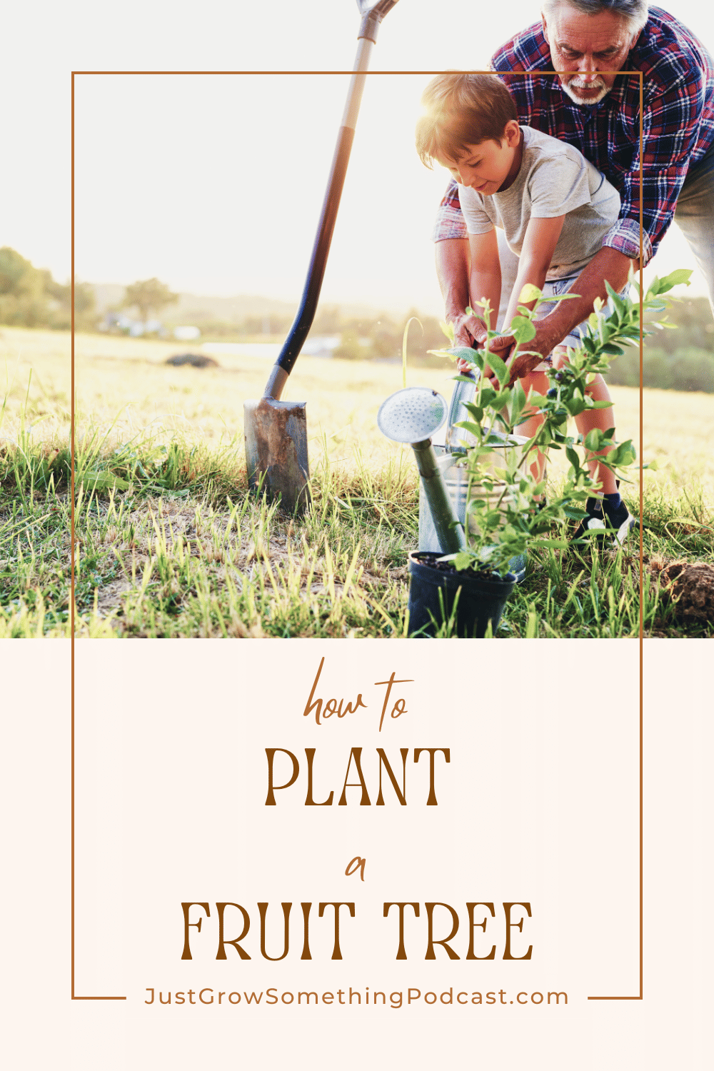 How to Properly Plant a Fruit Tree: apple tree being planted by a man and boy