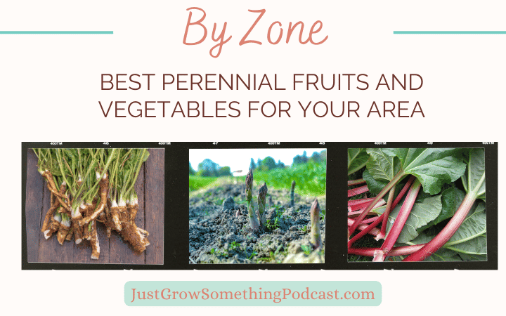 What Perennial Fruits and Vegetables Grow in Your Zone?