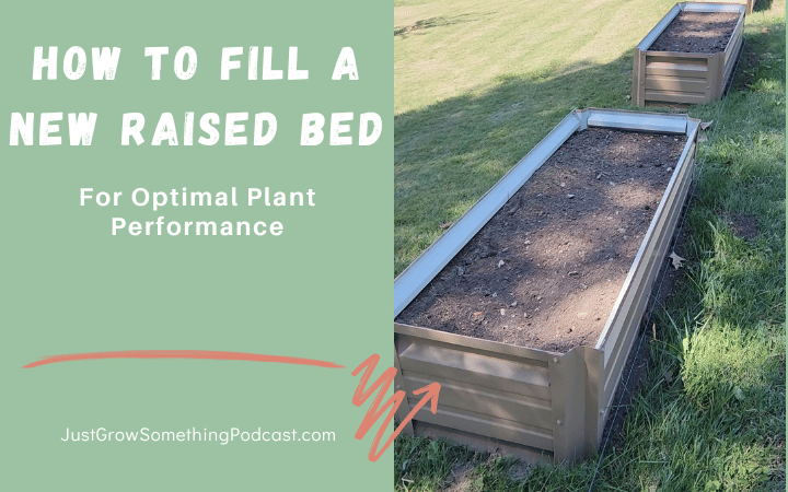 How to Fill New Raised Beds