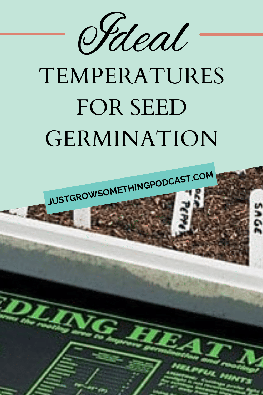 Ideal Temperatures for Seed Germination