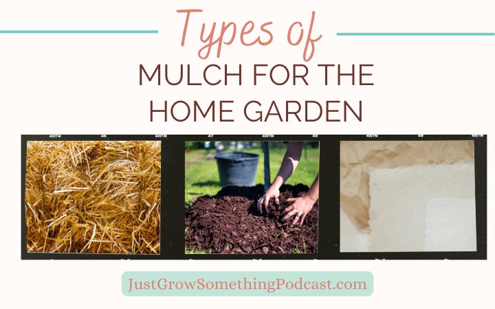 Types of Mulch for the Garden