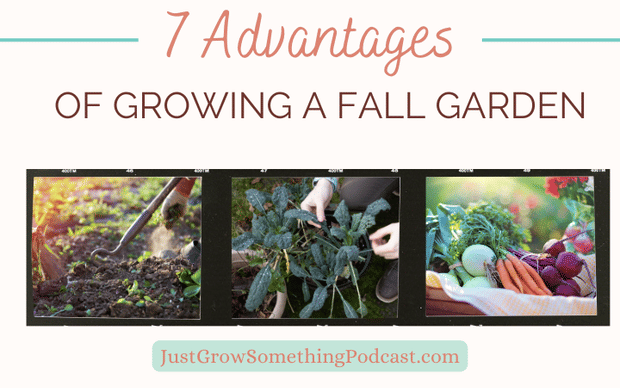Why You Should Grow a Fall Garden