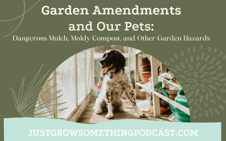 Garden Amendments and Pets: Dangerous Mulch, Moldy Compost, and Other Garden Hazards