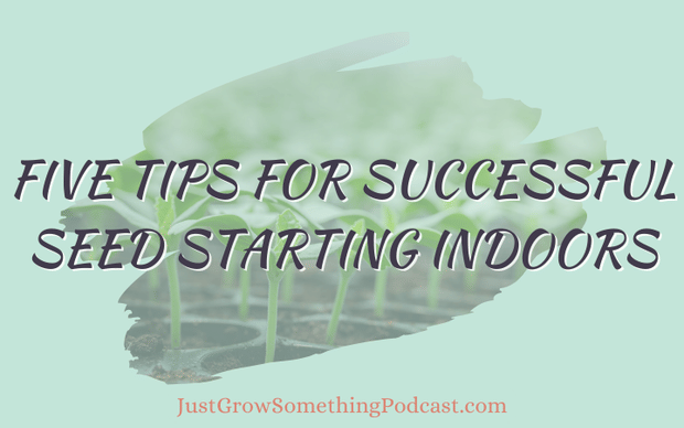 Five Tips for Successful Seed Starting Indoors