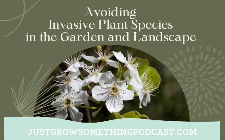 Avoiding Invasive Plant Species in the Garden and Landscape