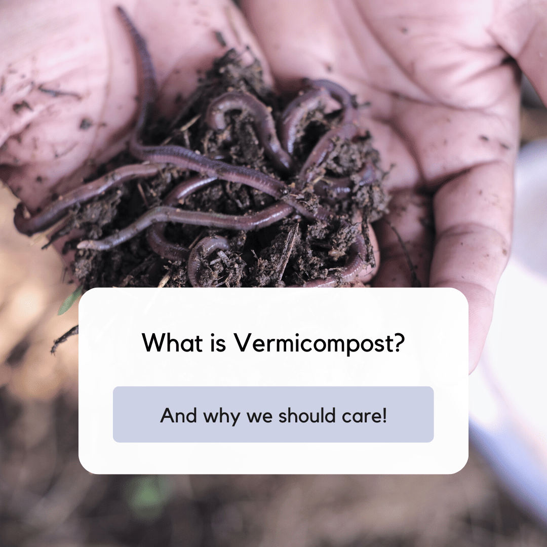What is Vermicompost and Why Should We Care?