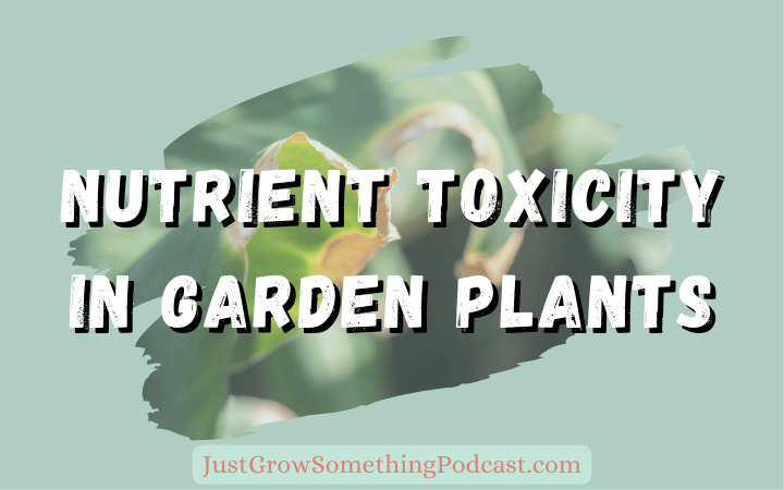 Indicators of Nutrient Toxicity in Garden Plants
