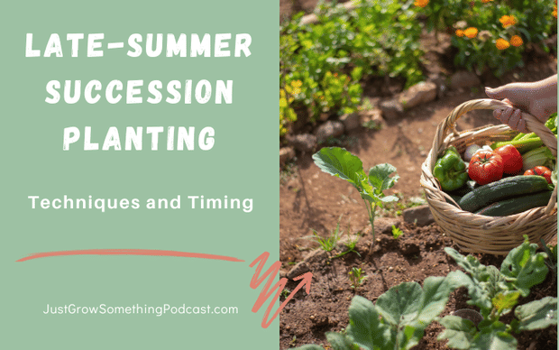 Late Summer Succession Planting