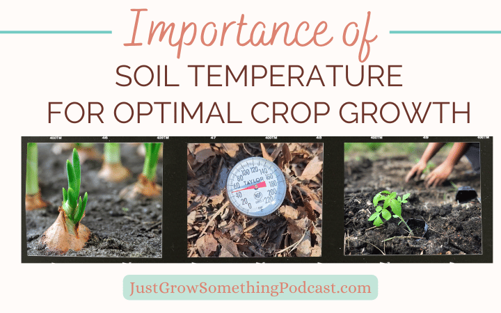 The Importance of Soil Temperature: A Guide to Optimal Crop Growth