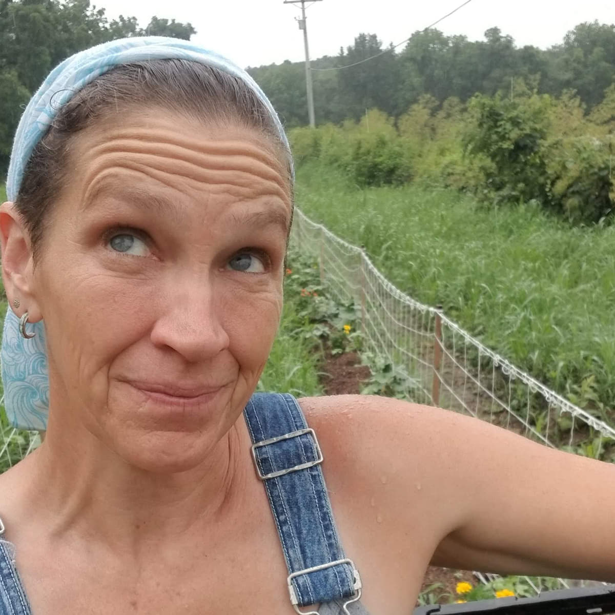 Welcome to the Blog ... Finally!