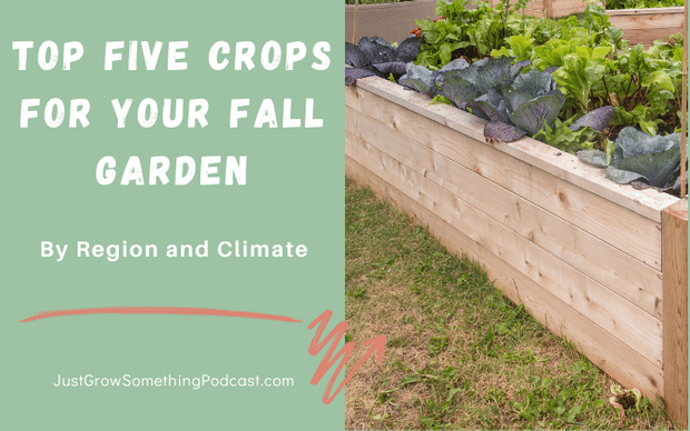 Top Five Fall Crops for Your Region